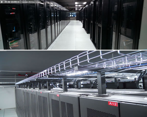 Precautions And Suggestions For Purchasing Hong Kong Native Ip